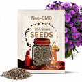 New England Aster Seeds  500 Non-GMO Heirloom Purple Perennial | Fall Planting Wildflower | Pollinator Friendly USA Garden