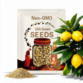 Queeny Lemon Peach Zinnia Seeds, Zinnia Elegans, Queen Series ZE0710