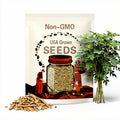 Ashwagandha Seeds - Heirloom Seeds, Indian Ginseng Seeds, Medicinal Herb, Withania Somnifera Seeds, Ayurvedic Herb, Open Pollinated, Non-GMO
