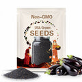 Eggplant, Black Beauty | 50 Seeds | Heirloom Vegetable | Open Pollinated | Non-GMO | Solanum melongena