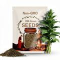 Tobacco Seeds - Native American Ojibwa Ceremonial -- Medicinal Herb - Seeds