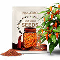 Aji Amarillo pepper  30+ freshly harvested seeds for the 2025 season