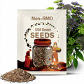 500 Heirloom Brussels Sprouts Seeds: 10 Non-GMO Varieties