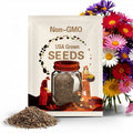 Aster, Heirloom Aster Seeds, Single Rainbow Mix China Aster Seeds