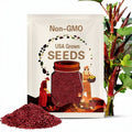 Okra, Red Burgundy | 50 Seeds | Heirloom Vegetable | Open Pollinated | Non-GMO | Abelmoschus esculentus