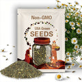 Roman Chamomile Seeds 1000+ Herb Medicinal Fragrant Groundcover PERENNIAL