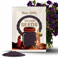 Dark Purple Campanula Bellflower, 55+ Seeds, Perennial