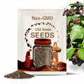 Elderberry Garden Seed Collection - 5 Popular Medicinal Varieties of Native Elderberry Seeds, Medicinal, Native Seeds, Garden Gift, Non-GMO