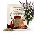 500 ROMAN CHAMOMILE Chamaemelum Nobile Herb Flower Seeds