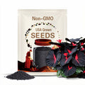 Black Caladium Seeds: Araceae Elephant Ear, Heart, Angel Wings (50 Seeds)